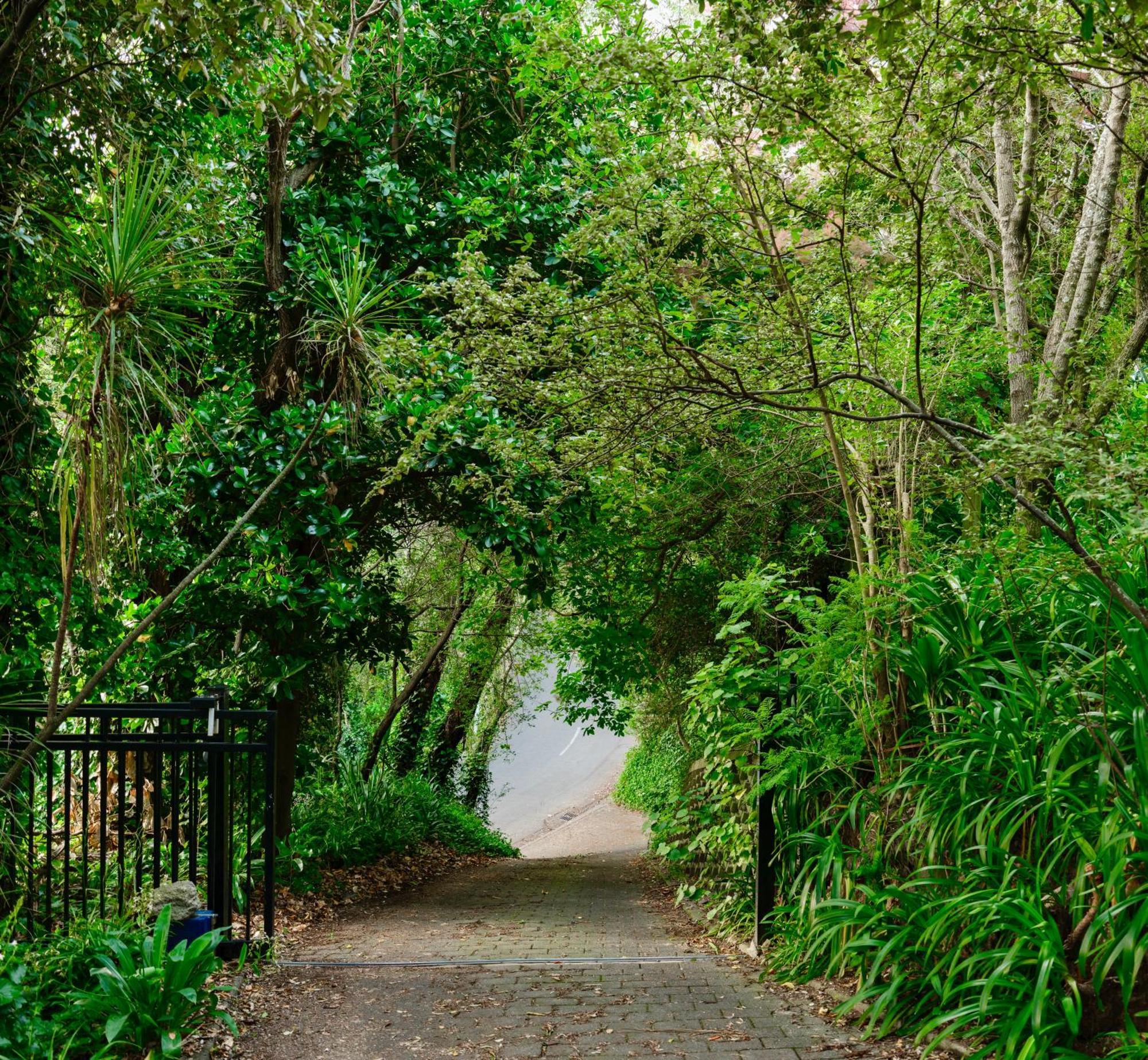 House Of Pania Bnb Napier Ngoại thất bức ảnh