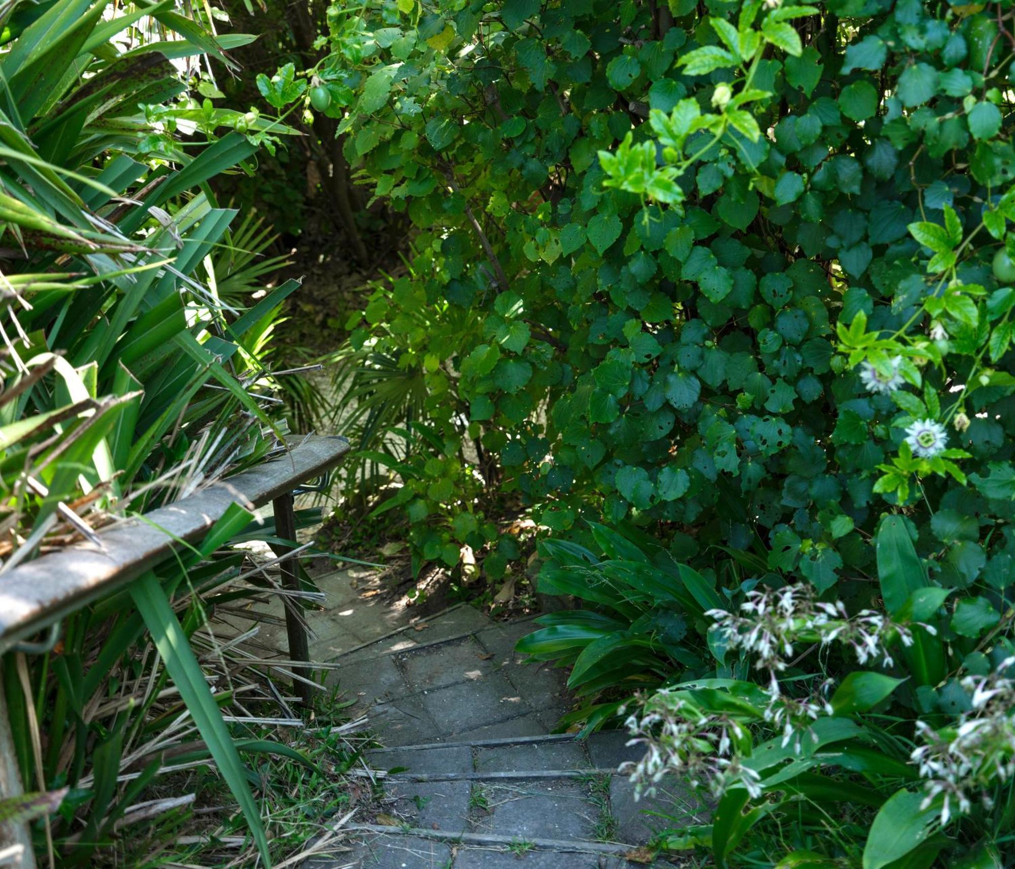 House Of Pania Bnb Napier Ngoại thất bức ảnh